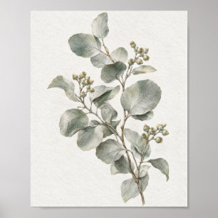 Graphit-Eukalyptus-Zweig Botanische Studie 03 Poster