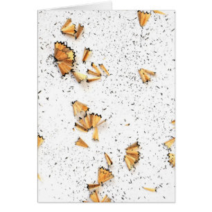 Graphitbleistiftschnitzel