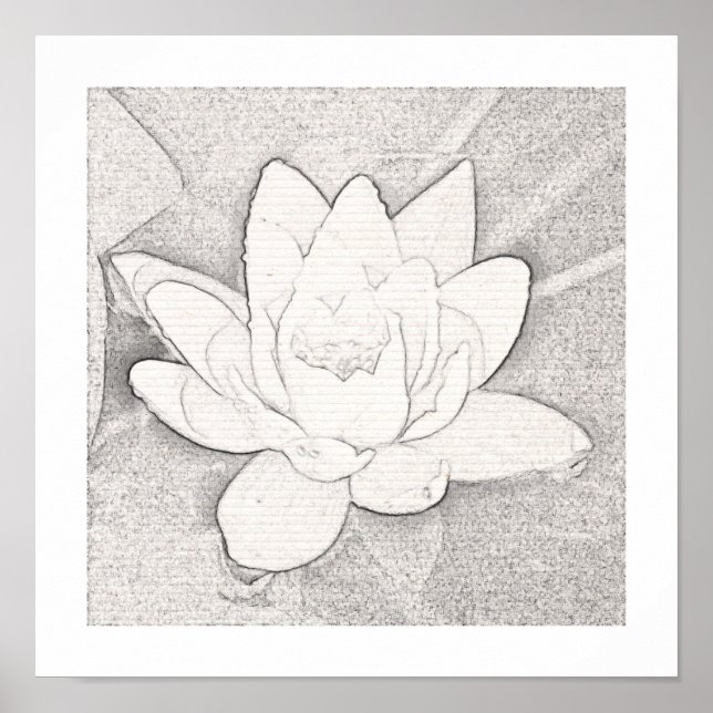 GRAPHITE LOTUS BLUME ART POSTER (Vorne)