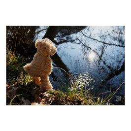 Grappige beer die ondeugend plast. poster