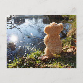 Grappige beer die ondeugend plast. postkarte