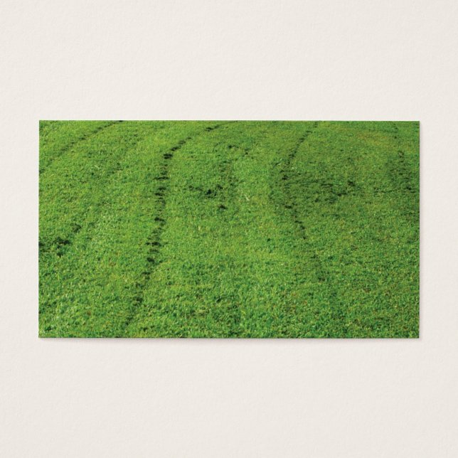 Gras (Vorderseite)