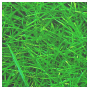 Gras-Beschaffenheit Stoff