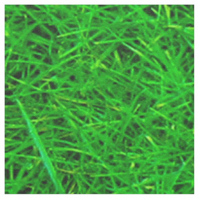 Gras-Beschaffenheit Stoff (Nahaufnahme)