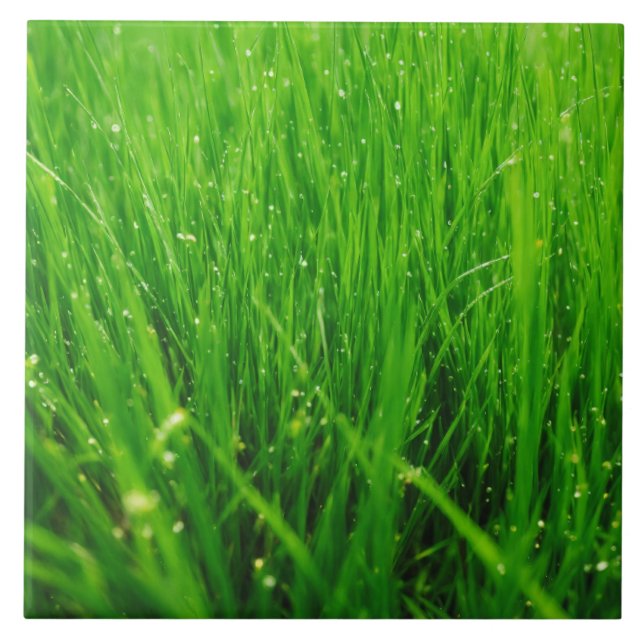 Gras Fliese (Vorderseite)