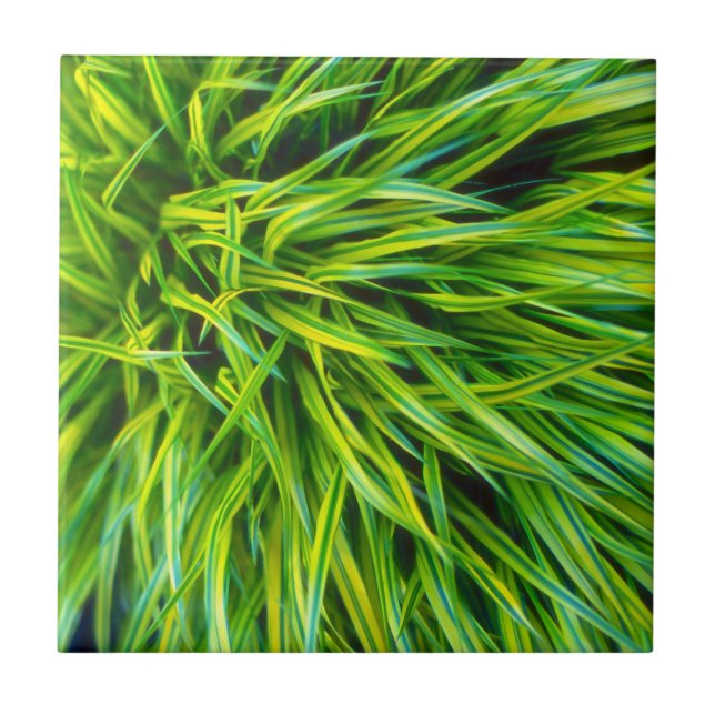 Gras Fliese (Vorderseite)