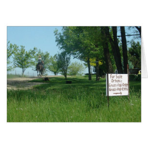 Gras Gefüttert Bio Eier