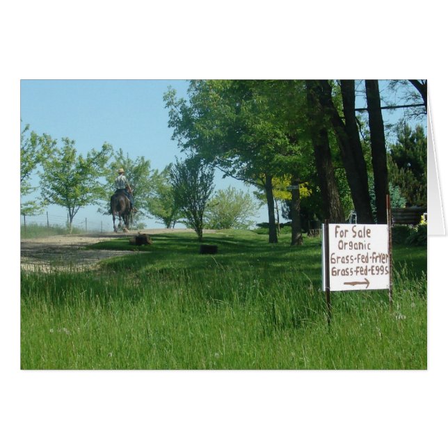 Gras Gefüttert Bio Eier (Vorderseite (Horizontal))