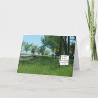 Gras Gefüttert Bio Eier