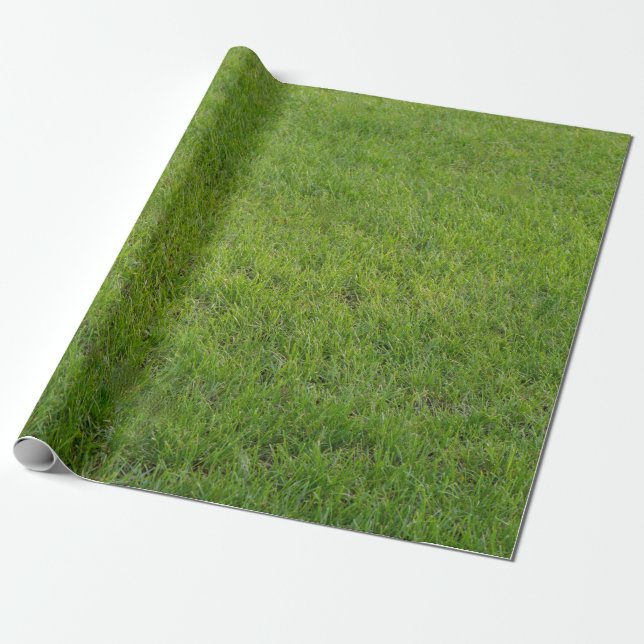 Gras, Geschenkpapier (Ungerollt)