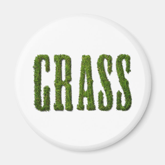 GRAS MAGNET (Vorne)