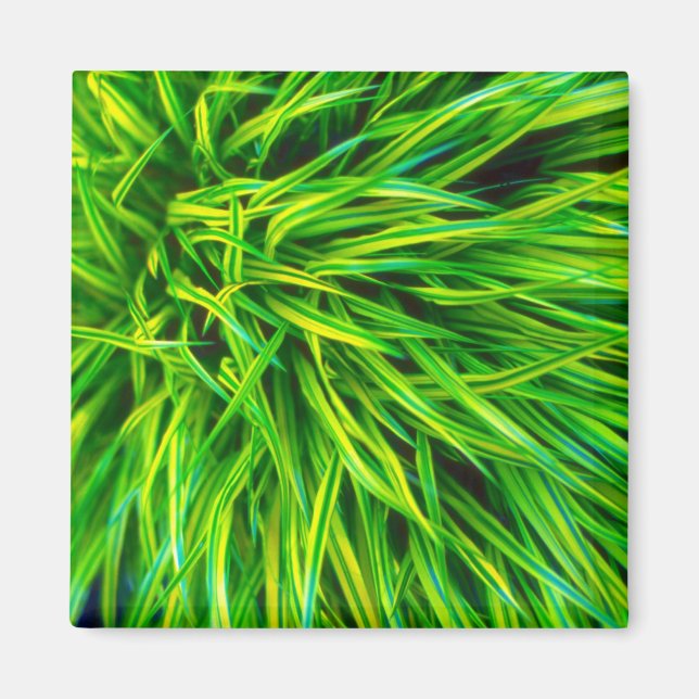 Gras Magnet (Vorne)