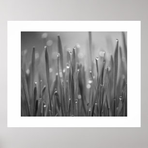 Gras mit Taubenplättchen Poster