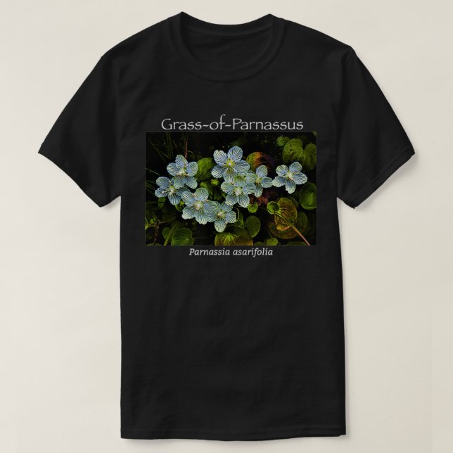 Gras-of-Parnassus-Wildblume T-Shirt (Design vorne)
