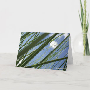 Gras-Prisma - Notecard Karte