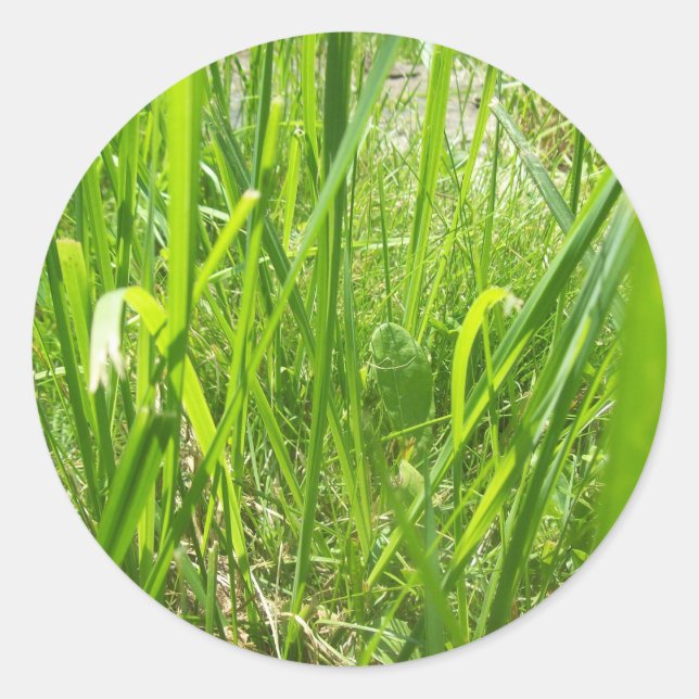 Gras Runder Aufkleber (Vorderseite)