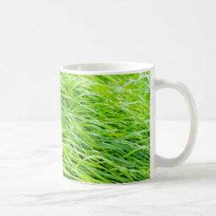 Gras Tasse