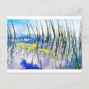 Gras und Blues JPG Postkarte