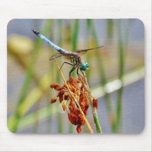 Gras und Dragonfly Mousepad