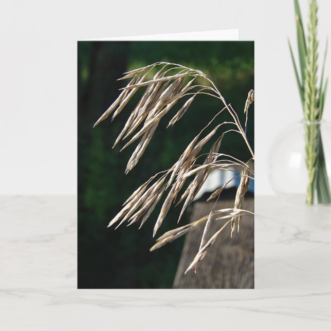 Gras wurde gesät karte (Vorderseite)