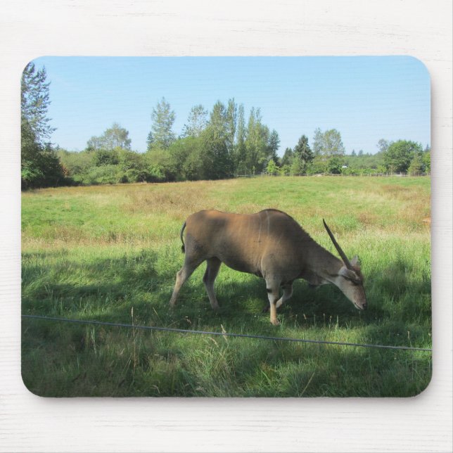 Grasende Antilope Mousepad (Vorne)