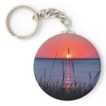 Gräser im Abendlicht - Insel Rügen