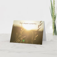 Gräser im Sonnenlicht - Mit tiefem Beileid