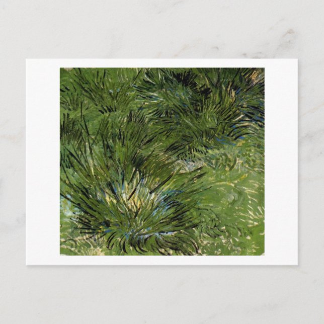 Gräser, Vincent van Gogh Postkarte (Vorderseite)