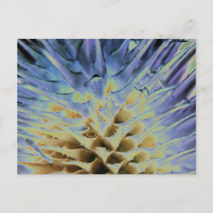 Grasexplosion Postkarte