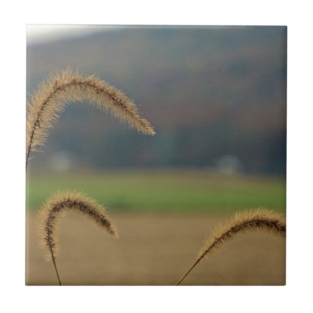 Grasfutter Fliese (Vorderseite)