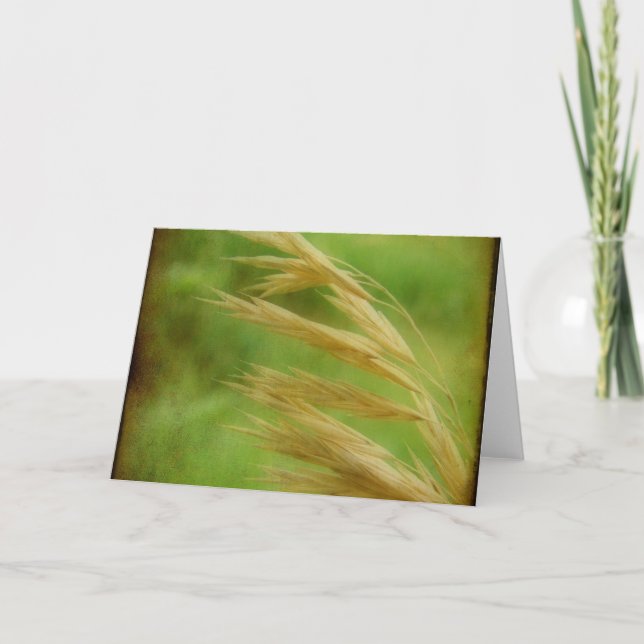 Grasfutter Karte (Vorderseite)