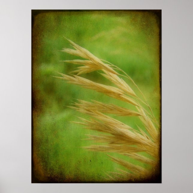 Grasfutter Poster (Vorne)