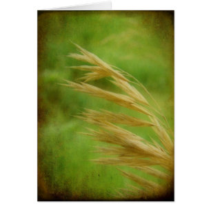 Grasfutterkarte