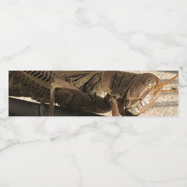 Grasgrün  wasserflaschenetikett (Einzelnes Label)