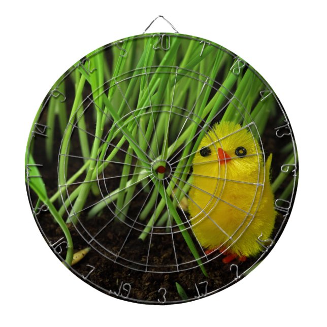Graskichle Dartscheibe (vorne)