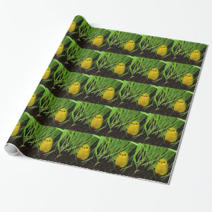 Graskichle Geschenkpapier