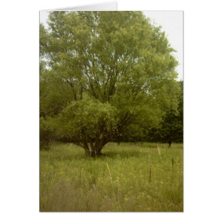 Grasland-Baum-grenzenfreie Karte