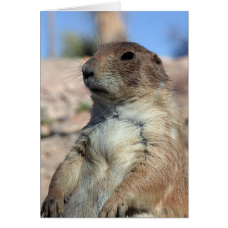 "Grasland-Begleiter-" Karte.  Fertigen Sie mich