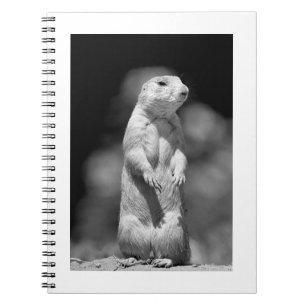 Grasland Dog#1-Notebook Notizblock