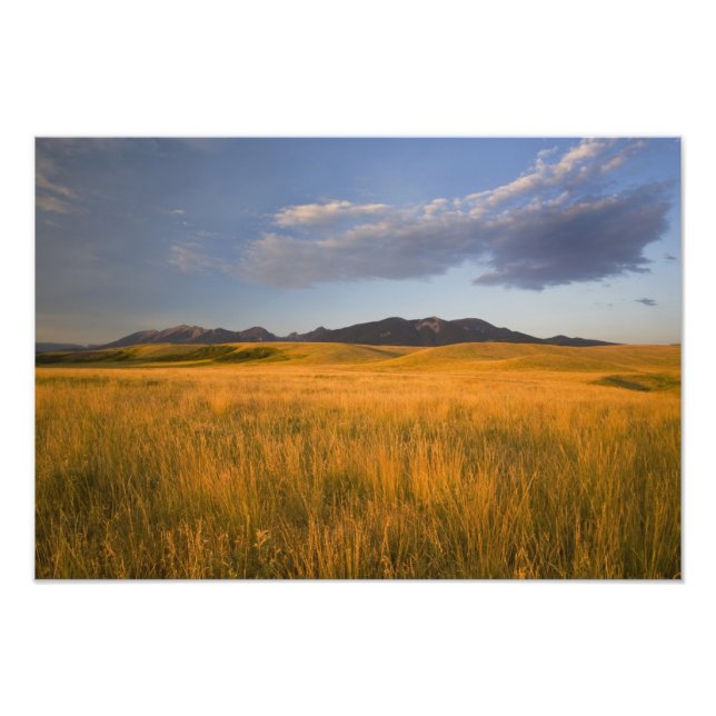 Grasland im Vorgebirge Fotodruck (Vorne)