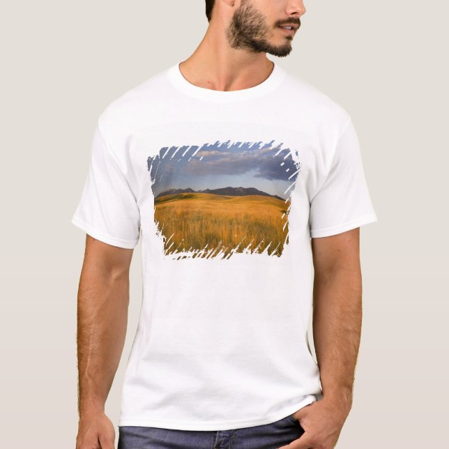 Grasland in den Vorgebirgen der T-Shirt (Vorderseite)