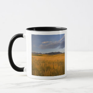 Grasland in den Vorgebirgen der Tasse