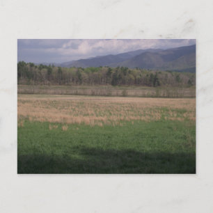 Grasland in der Höhlenbucht, rauchige Berge Postkarte