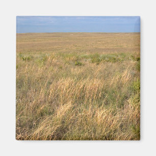 Grasland-Prärie östlich von Sidney, Nebraska. Magnet