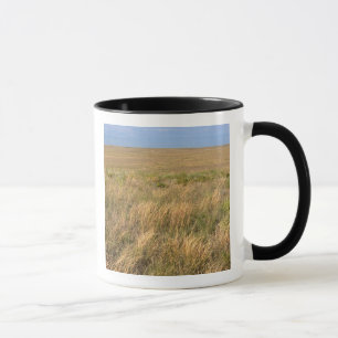 Grasland-Prärie östlich von Sidney, Nebraska. Tasse