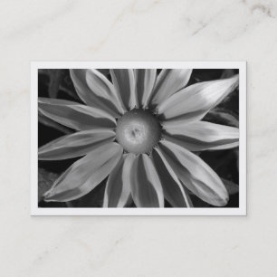 Grasland Sun Rudbekia, MiniFoto Visitenkarte