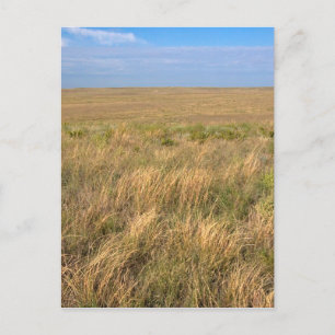 Graslandschaft Prärie östlich von Sidney, Nebraska Postkarte