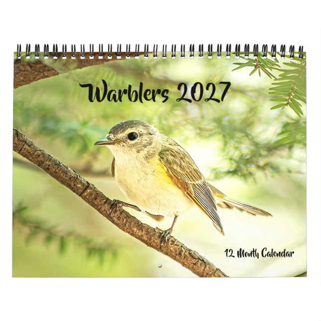 Grasmücken 2027 Wandkalender (Titelbild)