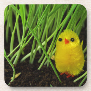 grass chick getränkeuntersetzer