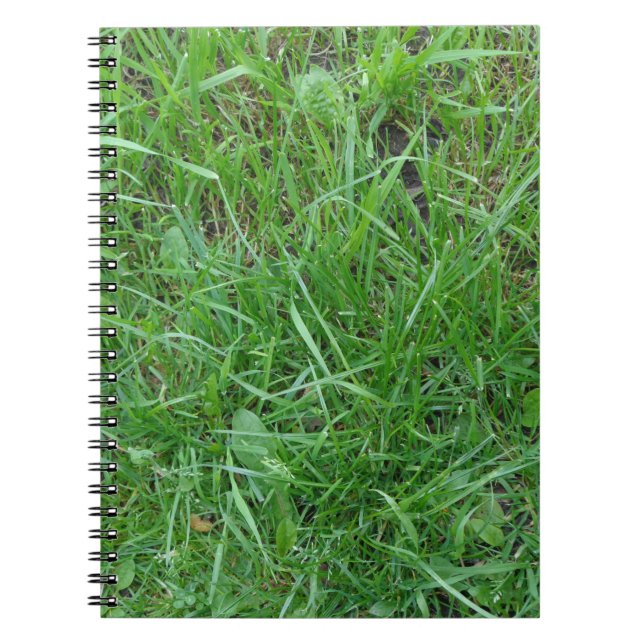 Grass-Foto-Notebook Notizblock (Vorderseite)